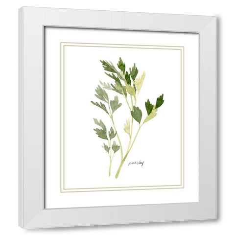Herb Garden Sketches II White Modern Wood Framed Art Print with Double Matting by Scarvey, Emma