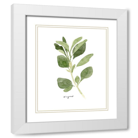 Herb Garden Sketches III White Modern Wood Framed Art Print with Double Matting by Scarvey, Emma