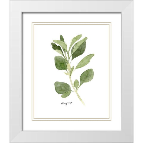 Herb Garden Sketches III White Modern Wood Framed Art Print with Double Matting by Scarvey, Emma