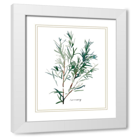 Herb Garden Sketches IV White Modern Wood Framed Art Print with Double Matting by Scarvey, Emma