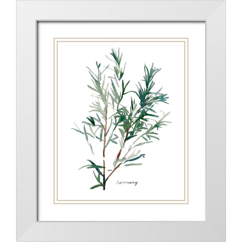 Herb Garden Sketches IV White Modern Wood Framed Art Print with Double Matting by Scarvey, Emma