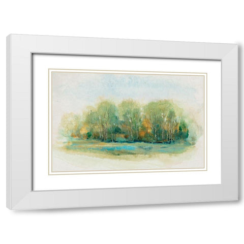 Forest Vignette I White Modern Wood Framed Art Print with Double Matting by OToole, Tim