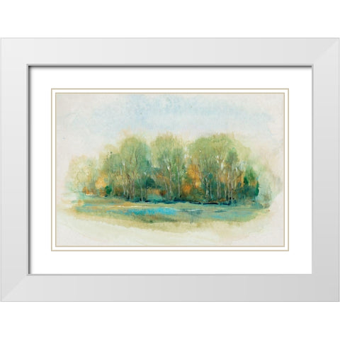 Forest Vignette I White Modern Wood Framed Art Print with Double Matting by OToole, Tim