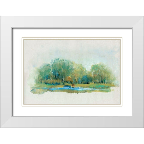 Forest Vignette II White Modern Wood Framed Art Print with Double Matting by OToole, Tim