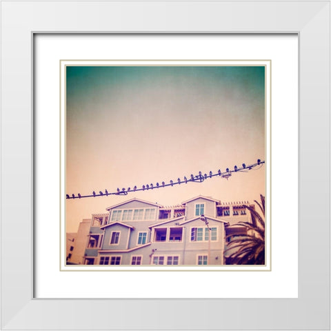 Birds on Wires I White Modern Wood Framed Art Print with Double Matting by Brown, Thomas