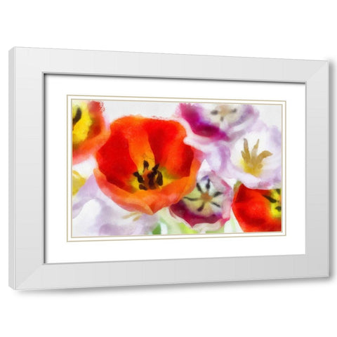 Best Wishes I White Modern Wood Framed Art Print with Double Matting by Hartson-Weddle, Ryan
