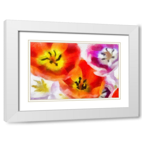 Best Wishes II White Modern Wood Framed Art Print with Double Matting by Hartson-Weddle, Ryan