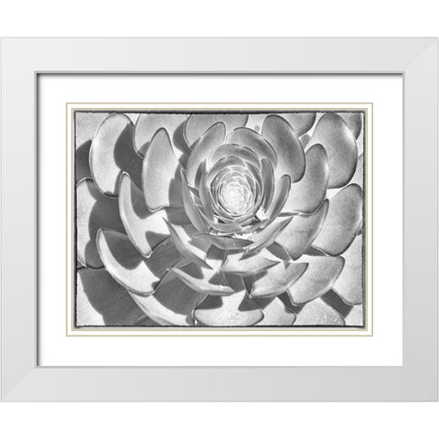 One After Another I White Modern Wood Framed Art Print with Double Matting by Hartson-Weddle, Ryan