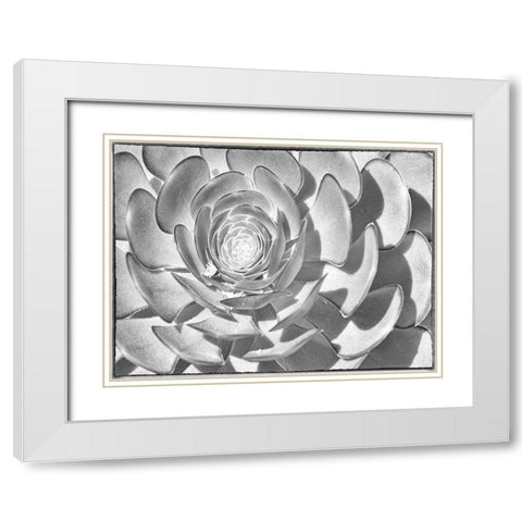 One After Another II White Modern Wood Framed Art Print with Double Matting by Hartson-Weddle, Ryan