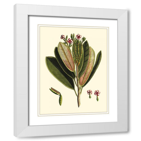 Buchoz Leaves I White Modern Wood Framed Art Print with Double Matting by Vision Studio