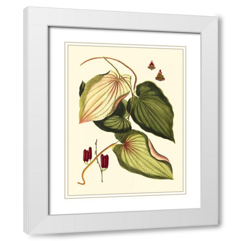 Buchoz Leaves III White Modern Wood Framed Art Print with Double Matting by Vision Studio