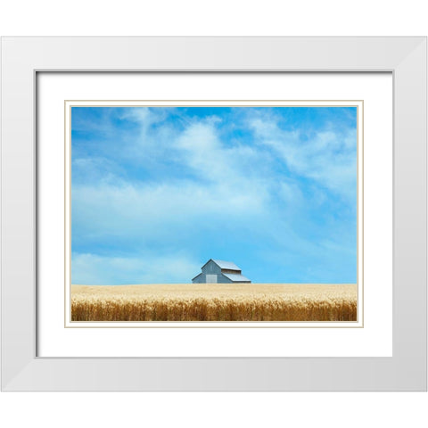 Barn Scene IX White Modern Wood Framed Art Print with Double Matting by McLoughlin, James