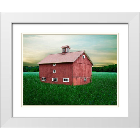 Barn Scene XII White Modern Wood Framed Art Print with Double Matting by McLoughlin, James