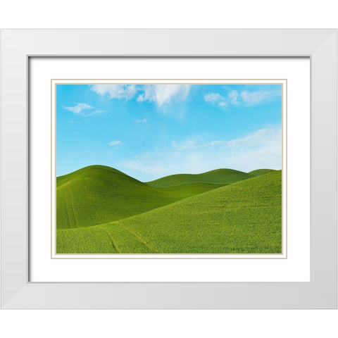 Farmscape Photo III White Modern Wood Framed Art Print with Double Matting by McLoughlin, James