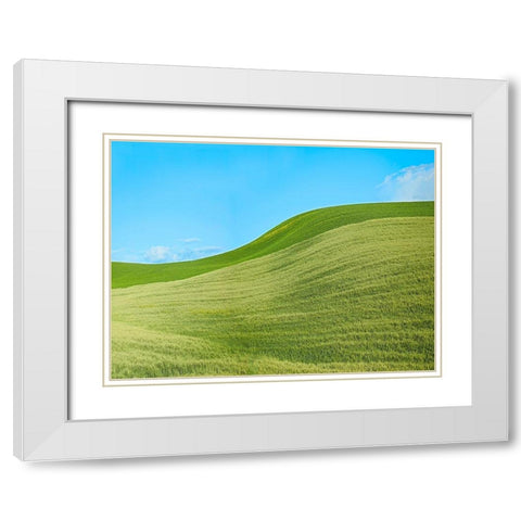 Farmscape Photo IV White Modern Wood Framed Art Print with Double Matting by McLoughlin, James