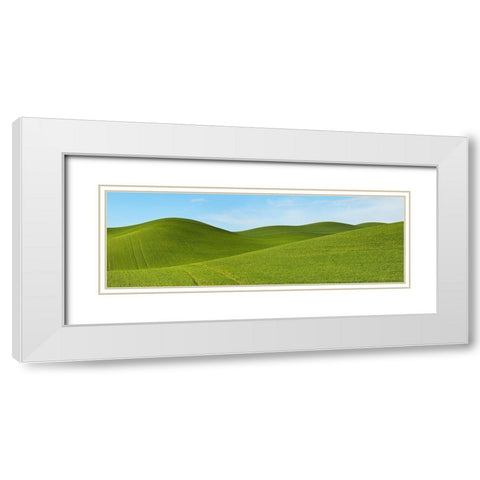 Farmscape Panorama VII White Modern Wood Framed Art Print with Double Matting by McLoughlin, James