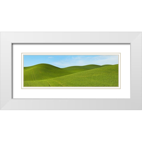 Farmscape Panorama VII White Modern Wood Framed Art Print with Double Matting by McLoughlin, James