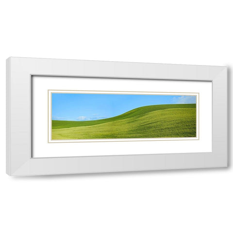 Farmscape Panorama VIII White Modern Wood Framed Art Print with Double Matting by McLoughlin, James