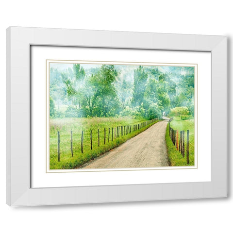 Country Road Photo II White Modern Wood Framed Art Print with Double Matting by McLoughlin, James