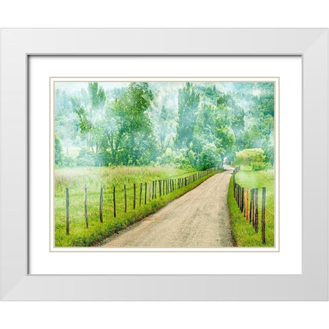 Country Road Photo II White Modern Wood Framed Art Print with Double Matting by McLoughlin, James