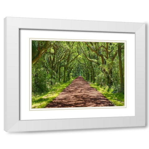 Country Road Photo IV White Modern Wood Framed Art Print with Double Matting by McLoughlin, James