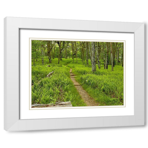 Country Road Photo V White Modern Wood Framed Art Print with Double Matting by McLoughlin, James