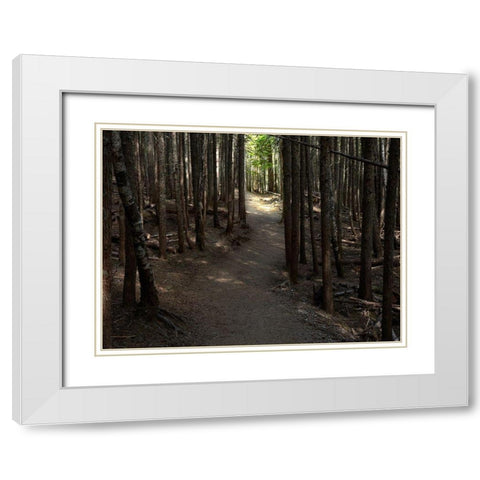 Country Road Photo VI White Modern Wood Framed Art Print with Double Matting by McLoughlin, James