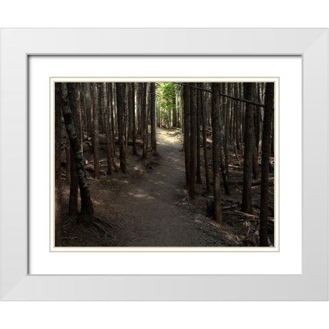 Country Road Photo VI White Modern Wood Framed Art Print with Double Matting by McLoughlin, James