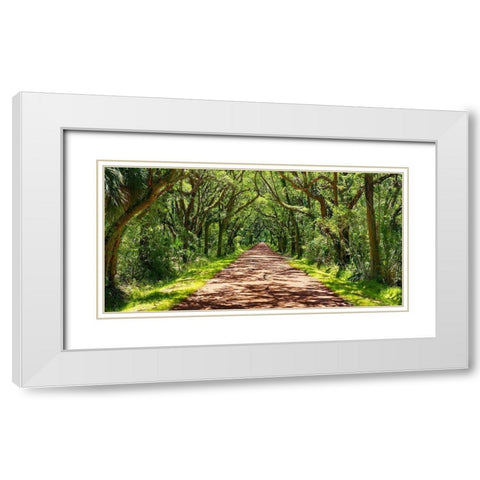 Country Road Photo VII White Modern Wood Framed Art Print with Double Matting by McLoughlin, James