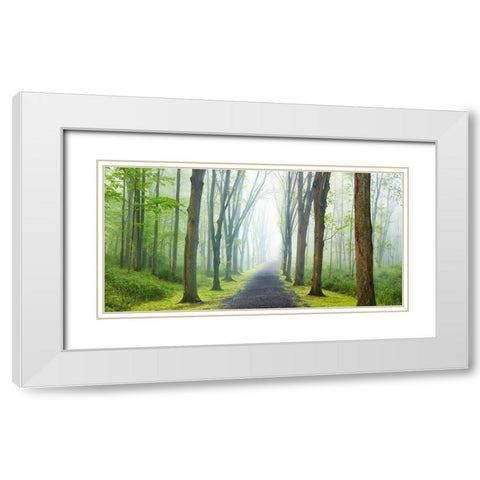 Country Road Photo VIII White Modern Wood Framed Art Print with Double Matting by McLoughlin, James
