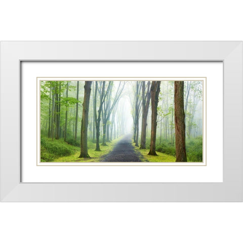 Country Road Photo VIII White Modern Wood Framed Art Print with Double Matting by McLoughlin, James