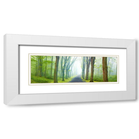 Country Road Panorama V White Modern Wood Framed Art Print with Double Matting by McLoughlin, James