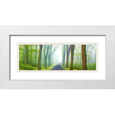 Country Road Panorama V White Modern Wood Framed Art Print with Double Matting by McLoughlin, James