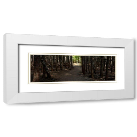 Country Road Panorama VII White Modern Wood Framed Art Print with Double Matting by McLoughlin, James