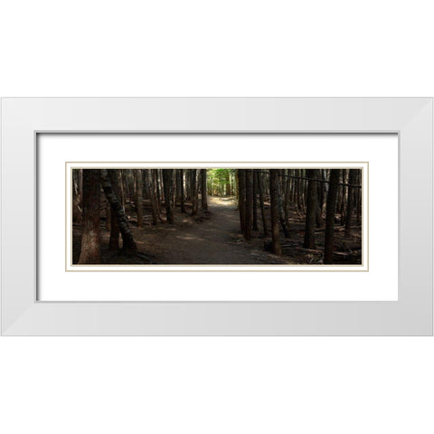 Country Road Panorama VII White Modern Wood Framed Art Print with Double Matting by McLoughlin, James