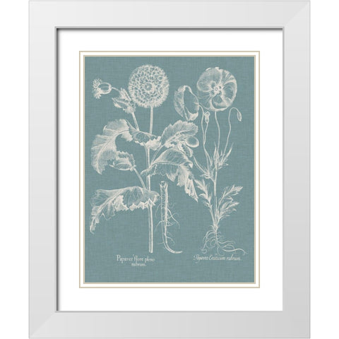 Besler Poppies II White Modern Wood Framed Art Print with Double Matting by Besler, Basilius