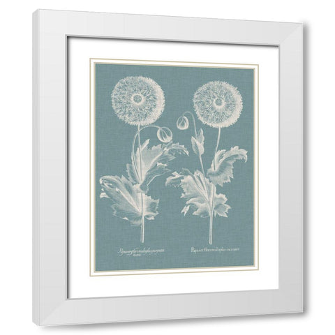Besler Poppies III White Modern Wood Framed Art Print with Double Matting by Besler, Basilius