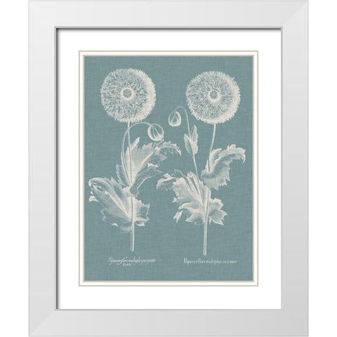 Besler Poppies III White Modern Wood Framed Art Print with Double Matting by Besler, Basilius