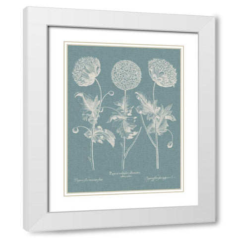 Besler Poppies IV White Modern Wood Framed Art Print with Double Matting by Besler, Basilius