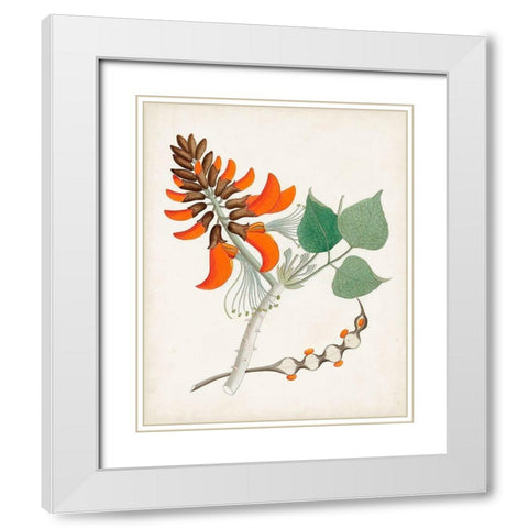 Botanical of the Tropics I White Modern Wood Framed Art Print with Double Matting by Unknown