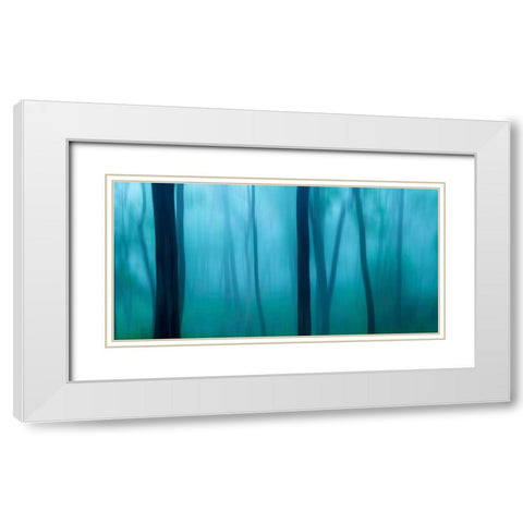 Harriman Woods II White Modern Wood Framed Art Print with Double Matting by McLoughlin, James