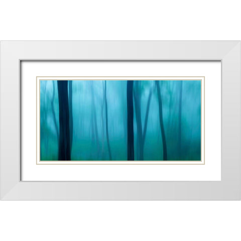 Harriman Woods II White Modern Wood Framed Art Print with Double Matting by McLoughlin, James