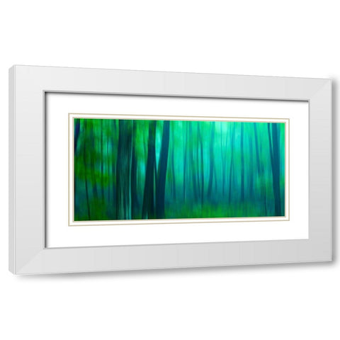 Harriman Woods III White Modern Wood Framed Art Print with Double Matting by McLoughlin, James