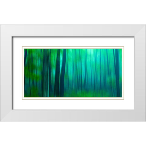 Harriman Woods III White Modern Wood Framed Art Print with Double Matting by McLoughlin, James