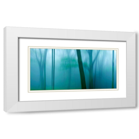 Harriman Woods IV White Modern Wood Framed Art Print with Double Matting by McLoughlin, James