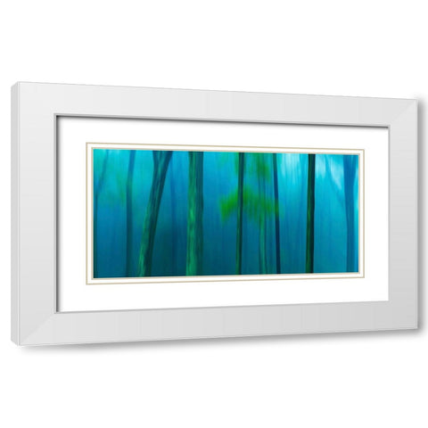 Harriman Woods V White Modern Wood Framed Art Print with Double Matting by McLoughlin, James