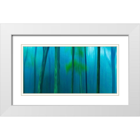 Harriman Woods V White Modern Wood Framed Art Print with Double Matting by McLoughlin, James