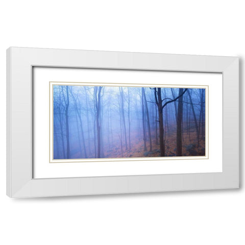 Harriman Woods VI White Modern Wood Framed Art Print with Double Matting by McLoughlin, James