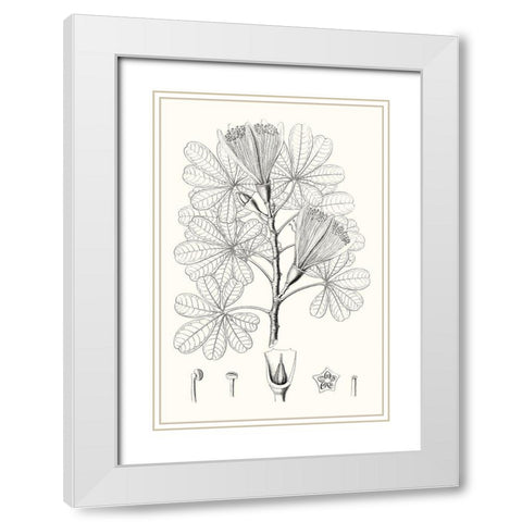 Illustrative Leaves II White Modern Wood Framed Art Print with Double Matting by Vision Studio