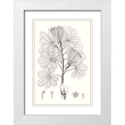 Illustrative Leaves II White Modern Wood Framed Art Print with Double Matting by Vision Studio